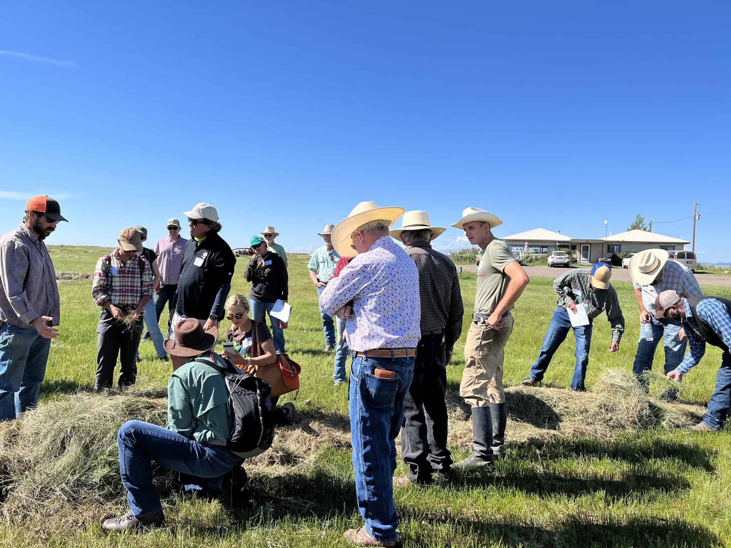 Tour attendees bend down near piles of hay in the fields of San Juan Ranch on a sunny day.