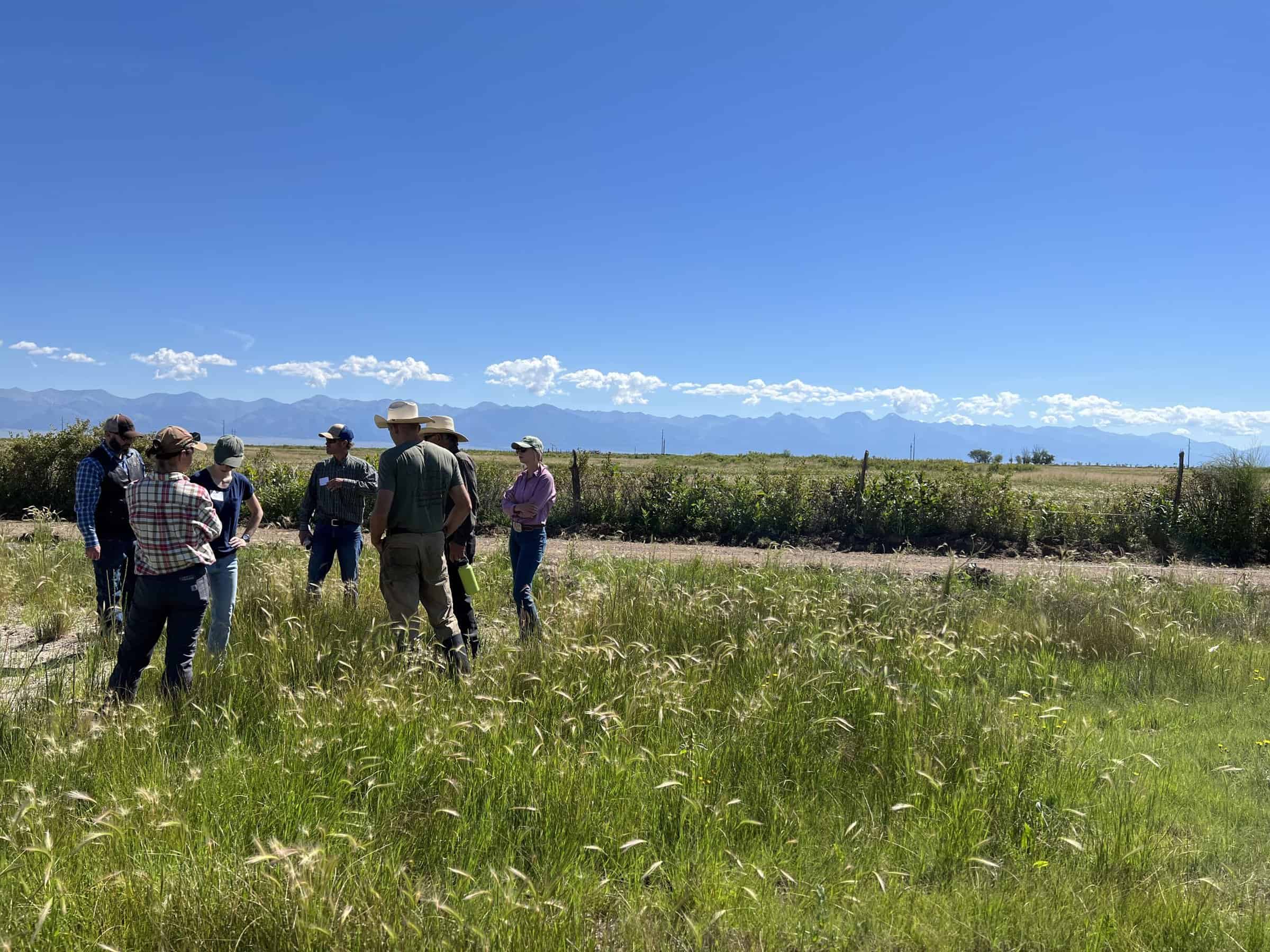 People stand in a knee high grassy field on a blue sunny day near Saguache, Colorado.
