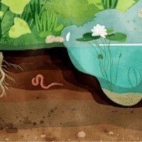 soil and earthworm illustration