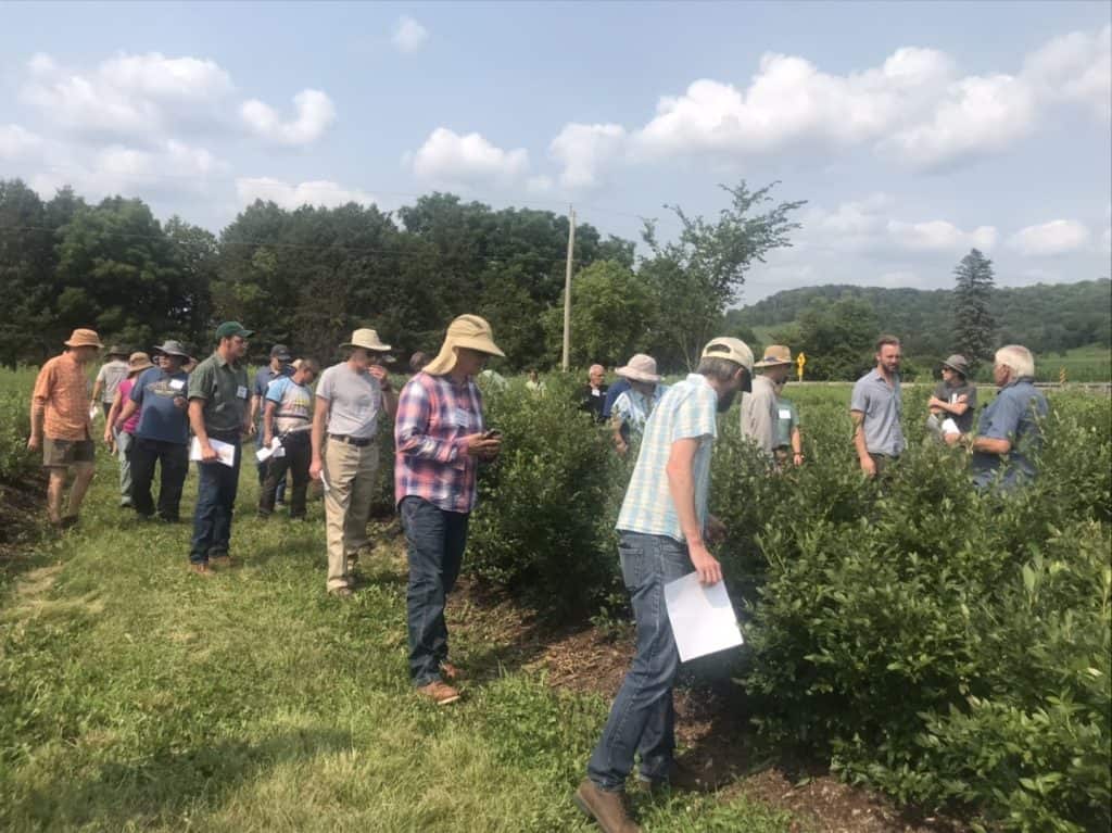 On-farm intensive attendees in field