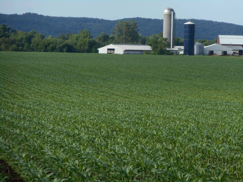 Otter Creek Organic Farm