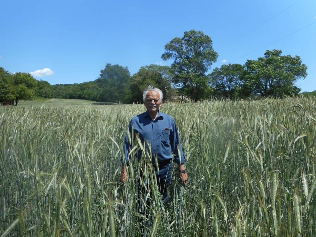 Gary Zimmer standing in field