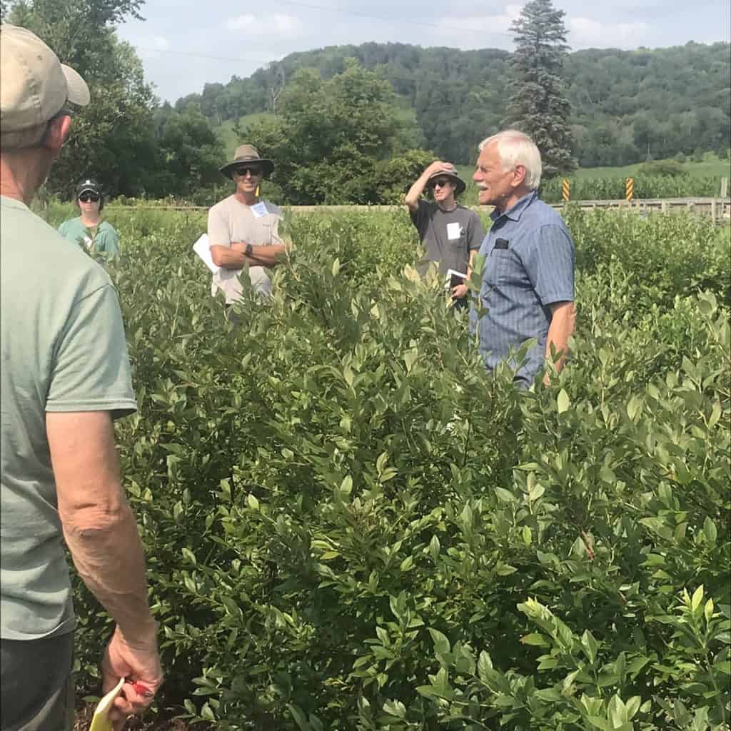 Gary Zimmer in blueberry field