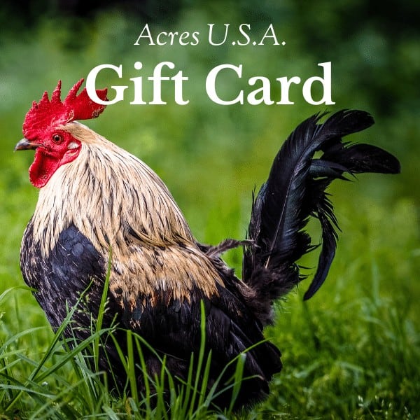 Gift card image