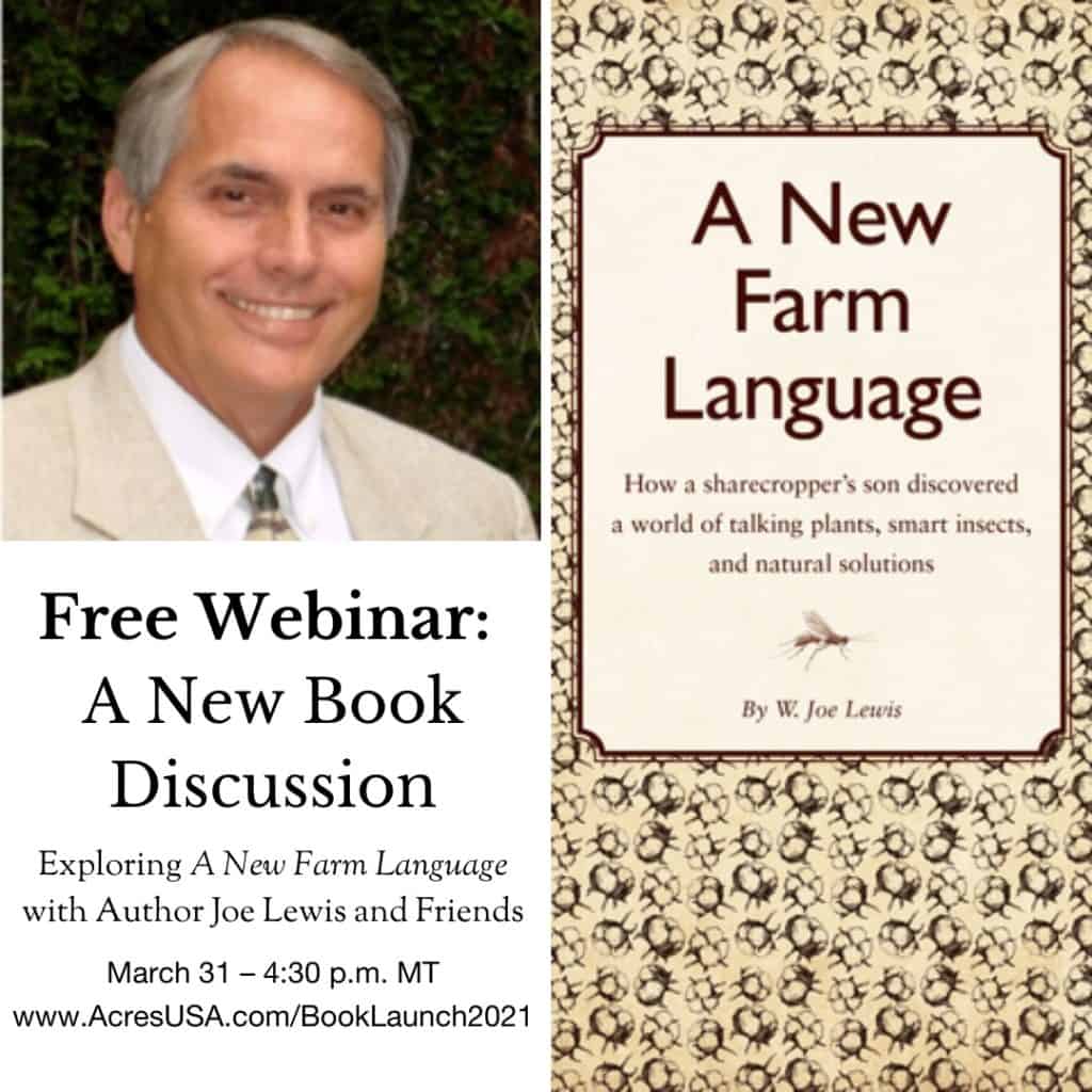 joe lewis free webinar