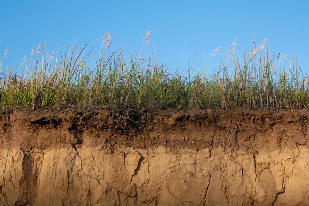 Layers of soil