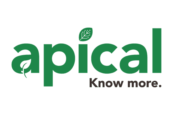 Apical logo